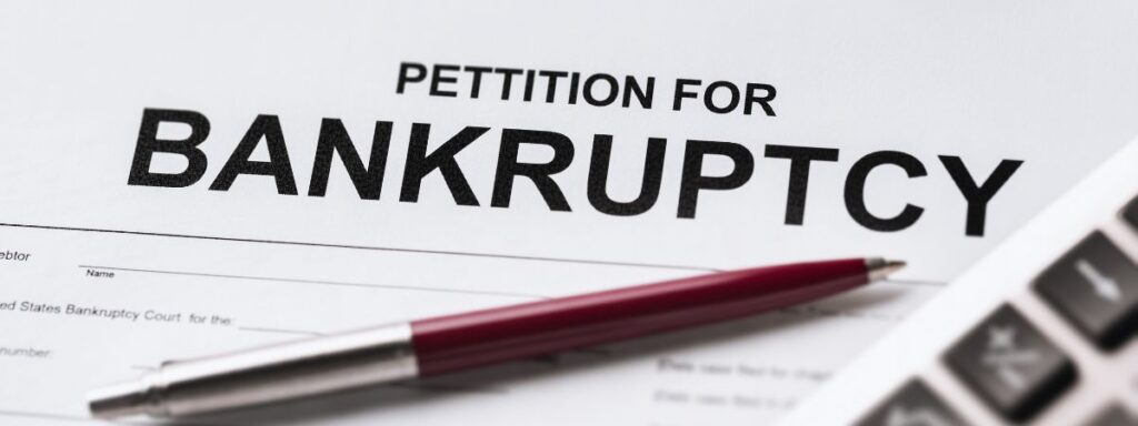 Strategic IBC Advisory for Compliance, Asset Protection, and Recovery - Anirudh Associates