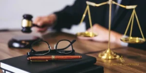 Legal Updates February 2026 and key court judgment - Anirudh Associate